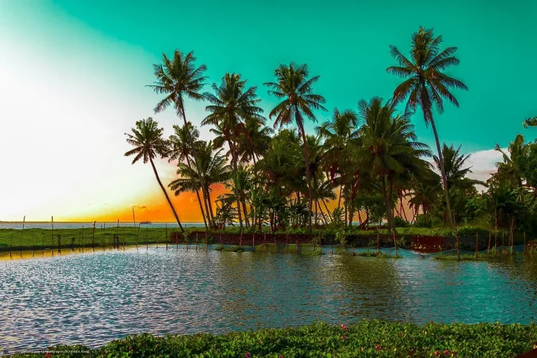 Magical Kerala Tour Package